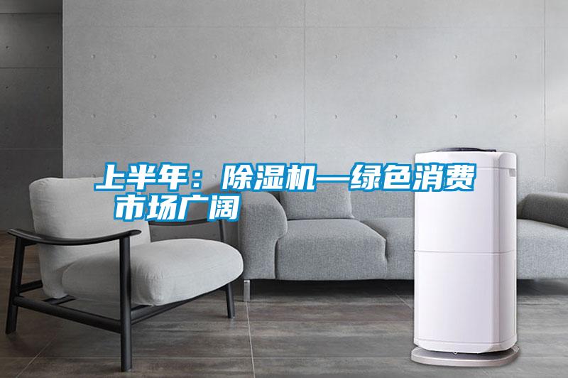 上半年:除濕機(jī)—綠色消費(fèi) 市場(chǎng)廣闊