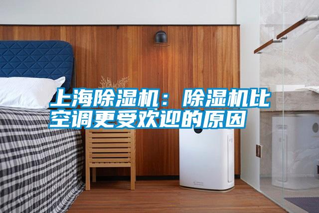 上海除濕機:除濕機比空調更受歡迎的原因