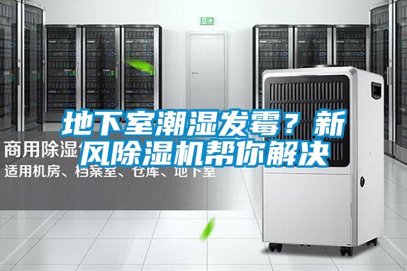 地下室潮濕發(fā)霉？新風除濕機幫你解決