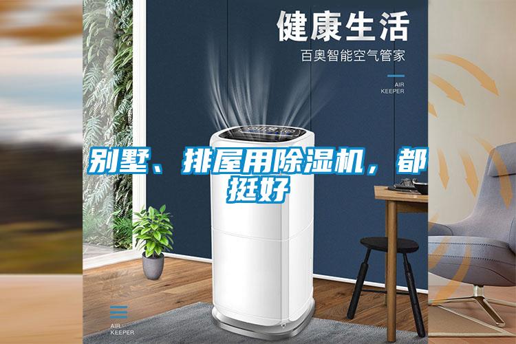 別墅、排屋用除濕機(jī)，都挺好