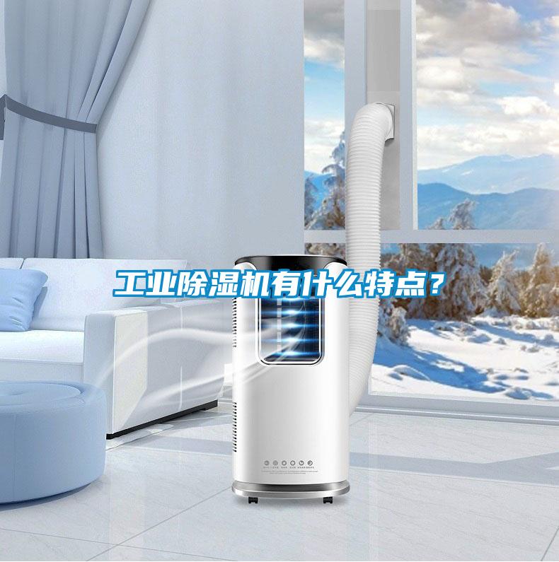 工業(yè)除濕機有什么特點？