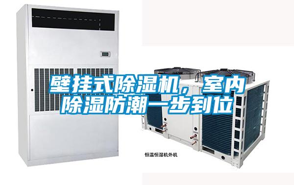 壁掛式除濕機,室內除濕防潮一步到位