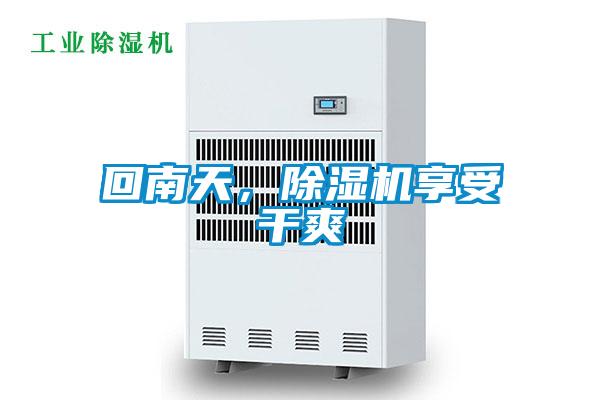 回南天，除濕機享受干爽