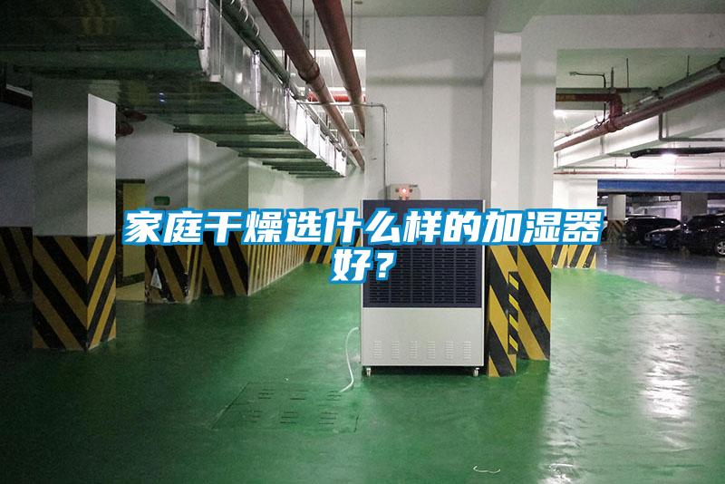 家庭干燥選什么樣的加濕器好？