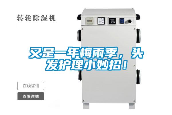 又是一年梅雨季，頭發(fā)護理小妙招！