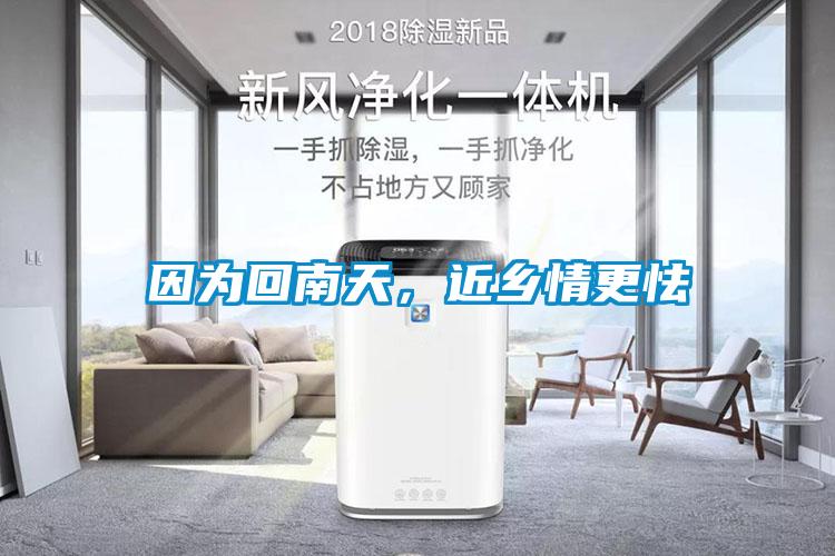 因為回南天，近鄉(xiāng)情更怯