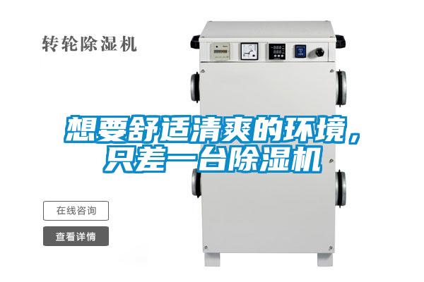 想要舒適清爽的環境,只差一臺除濕機