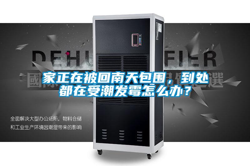 家正在被回南天包圍，到處都在受潮發(fā)霉怎么辦？