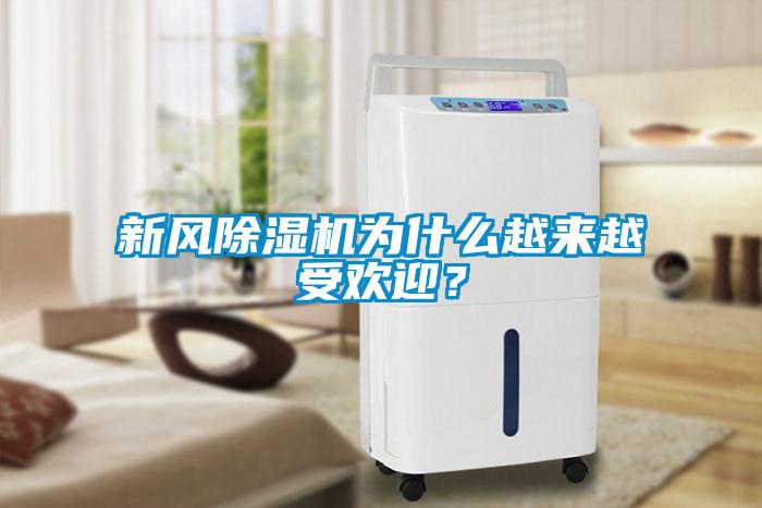新風(fēng)除濕機為什么越來越受歡迎？