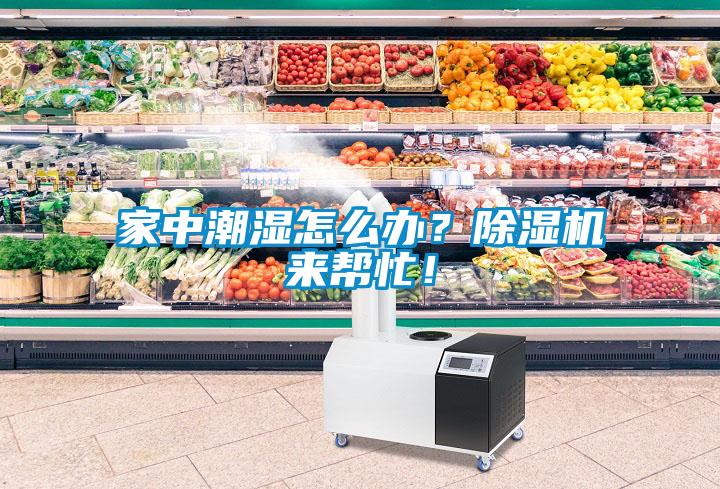家中潮濕怎么辦？除濕機(jī)來幫忙！