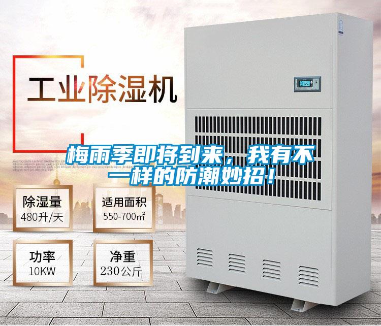 梅雨季即將到來,我有不一樣的防潮妙招!