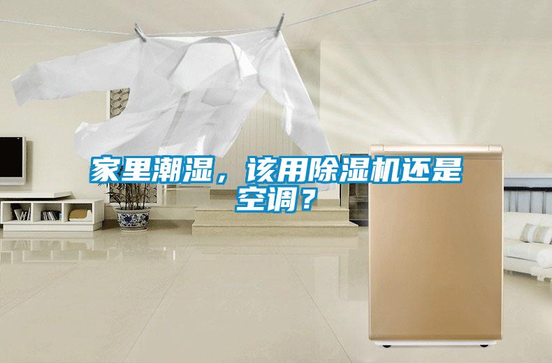 家里潮濕,該用除濕機(jī)還是空調(diào)?