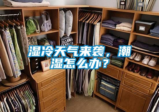 濕冷天氣來襲,潮濕怎么辦?