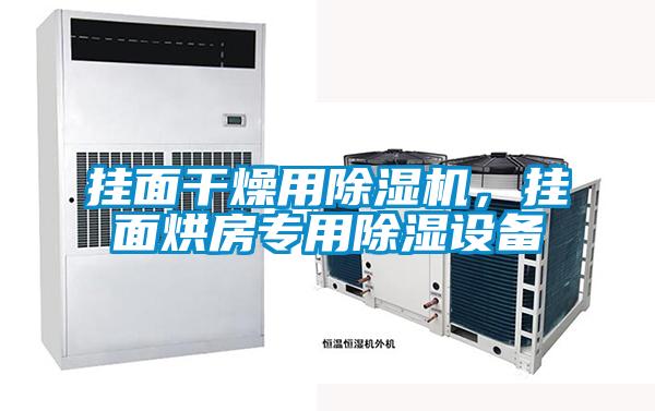 掛面干燥用除濕機(jī)，掛面烘房專用除濕設(shè)備