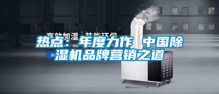 熱點:年度力作 中國除濕機品牌營銷之道