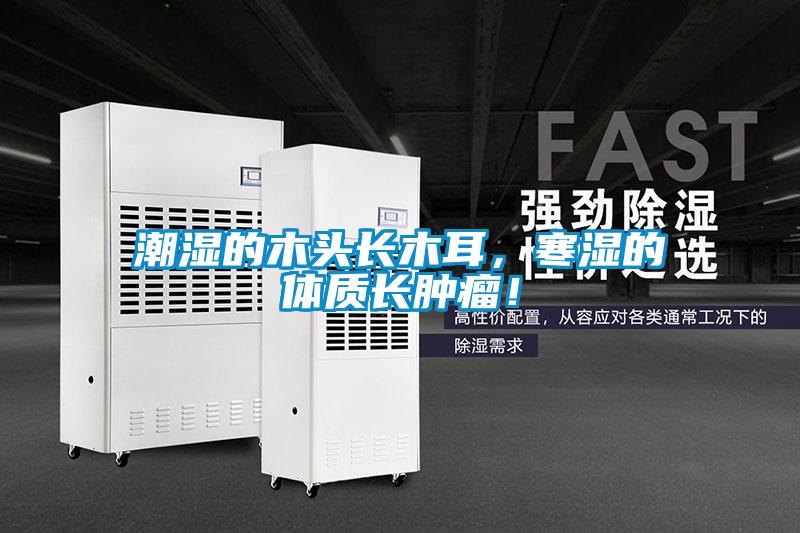 潮濕的木頭長木耳，寒濕的體質長腫瘤！