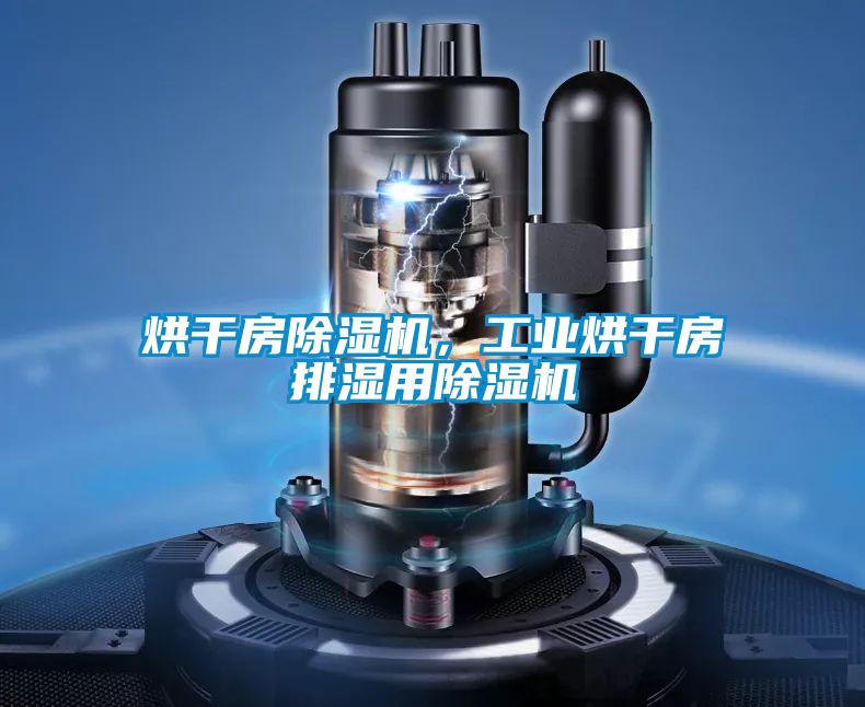 烘干房除濕機，工業烘干房排濕用除濕機