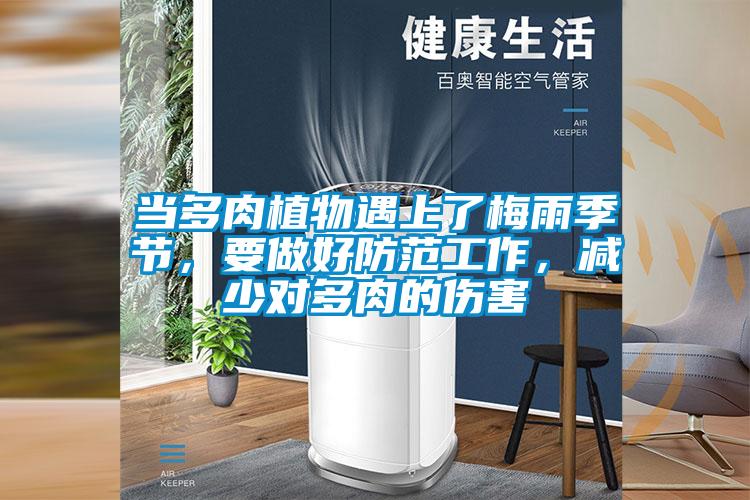 當(dāng)多肉植物遇上了梅雨季節(jié)，要做好防范工作，減少對多肉的傷害