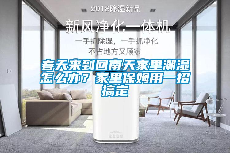 春天來到回南天家里潮濕怎么辦？家里保姆用一招搞定