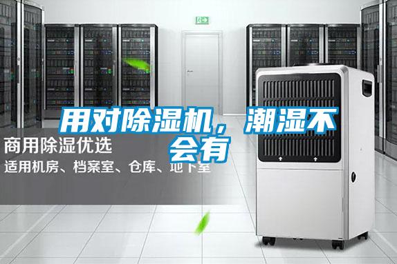 用對除濕機，潮濕不會有