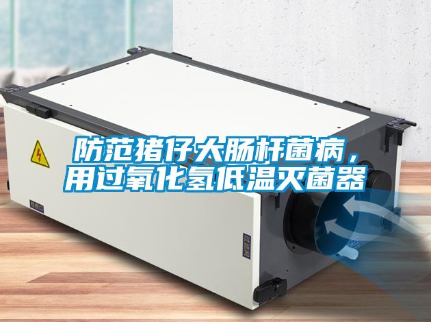 防范豬仔大腸桿菌病,用過氧化氫低溫滅菌器