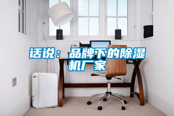 話說:品牌下的除濕機廠家