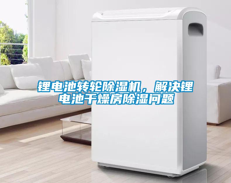 鋰電池轉(zhuǎn)輪除濕機,解決鋰電池干燥房除濕問題