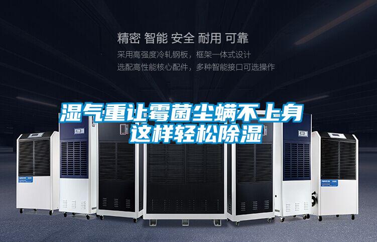 濕氣重讓霉菌塵螨不上身 這樣輕松除濕