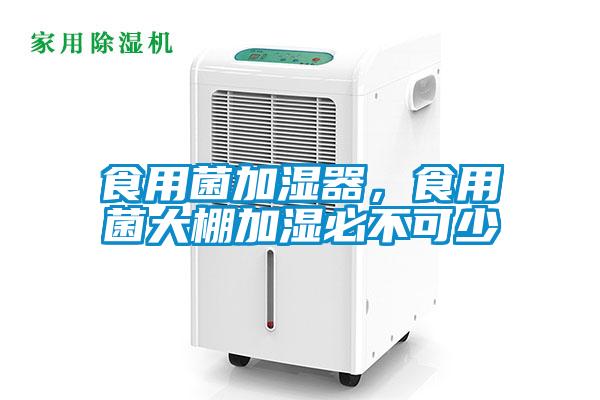 食用菌加濕器，食用菌大棚加濕必不可少