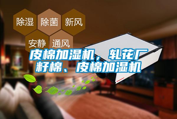 皮棉加濕機(jī)，軋花廠籽棉、皮棉加濕機(jī)