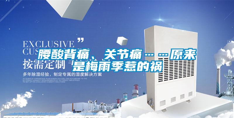 腰酸背痛、關節痛……原來是梅雨季惹的禍