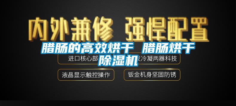 臘腸的高效烘干 臘腸烘干除濕機