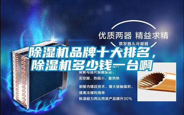 除濕機品牌十大排名，除濕機多少錢一臺啊