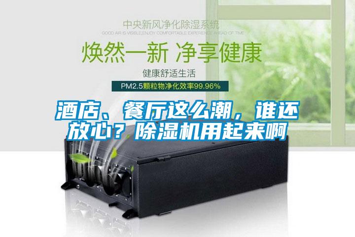 酒店、餐廳這么潮,誰還放心?除濕機用起來啊