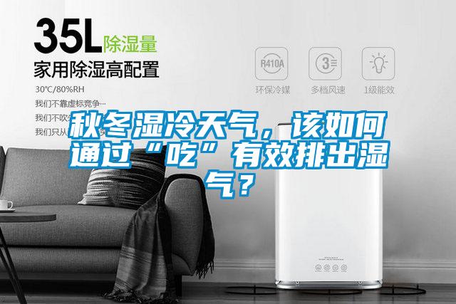 秋冬濕冷天氣，該如何通過“吃”有效排出濕氣？