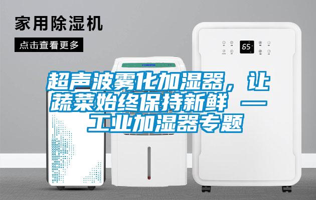 超聲波霧化加濕器，讓蔬菜始終保持新鮮 — 工業加濕器專題