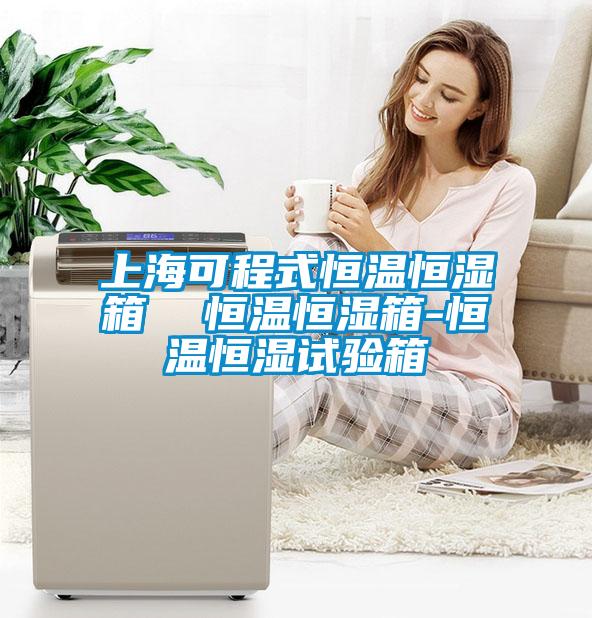 上海可程式恒溫恒濕箱  恒溫恒濕箱-恒溫恒濕試驗(yàn)箱
