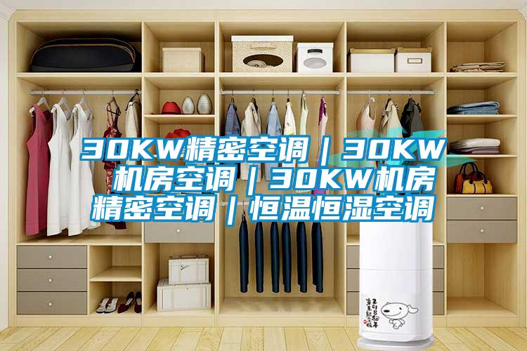 30KW精密空調|30KW 機房空調|30KW機房精密空調|恒溫恒濕空調