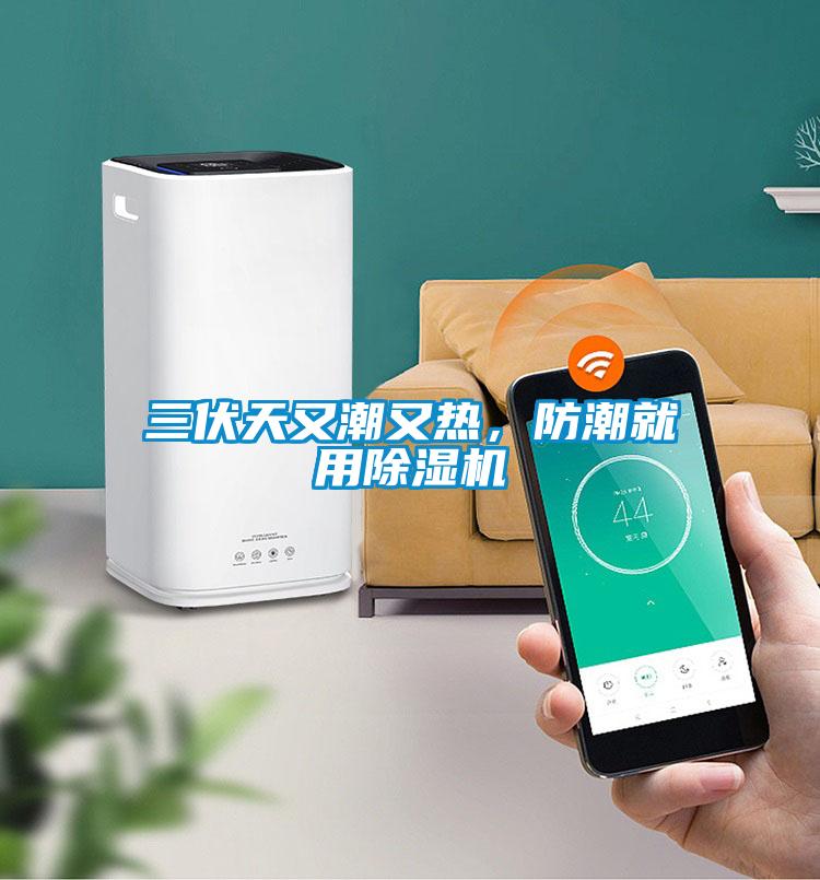 三伏天又潮又熱，防潮就用除濕機(jī)