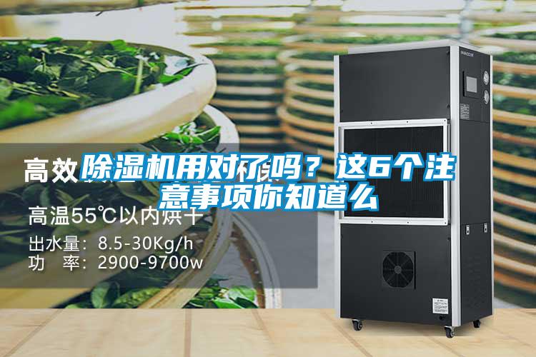 除濕機用對了嗎?這6個注意事項你知道么