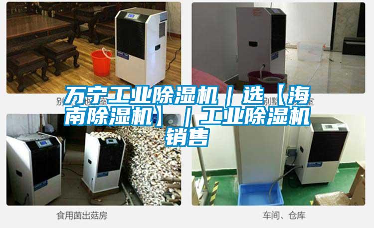 萬(wàn)寧工業(yè)除濕機(jī)|選【海南除濕機(jī)】|工業(yè)除濕機(jī)銷售
