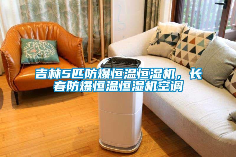 吉林5匹防爆恒溫恒濕機，長春防爆恒溫恒濕機空調