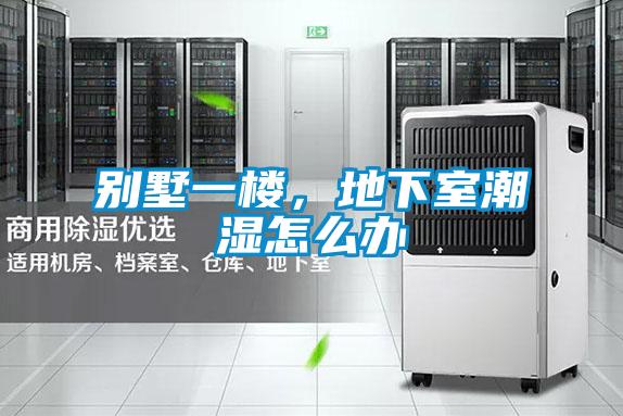 別墅一樓，地下室潮濕怎么辦