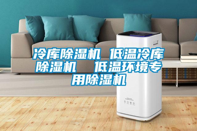 冷庫(kù)除濕機(jī) 低溫冷庫(kù)除濕機(jī)  低溫環(huán)境專(zhuān)用除濕機(jī)