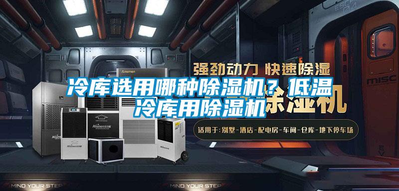 冷庫(kù)選用哪種除濕機(jī)?低溫冷庫(kù)用除濕機(jī)