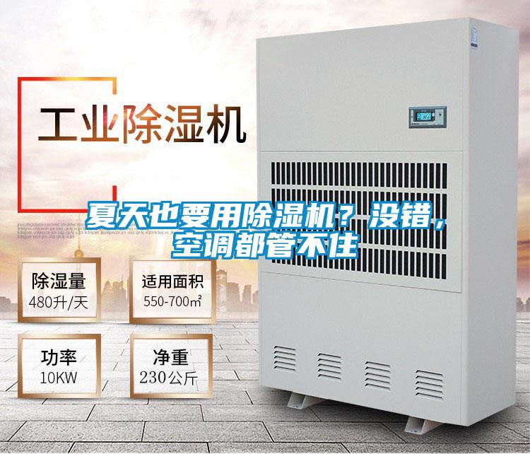 夏天也要用除濕機?沒錯,空調都管不住