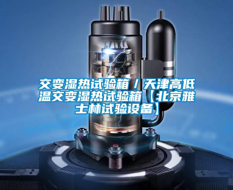 交變濕熱試驗箱/天津高低溫交變濕熱試驗箱【北京雅士林試驗設備】