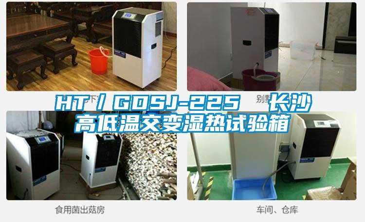 HT／GDSJ-225  長(zhǎng)沙高低溫交變濕熱試驗(yàn)箱