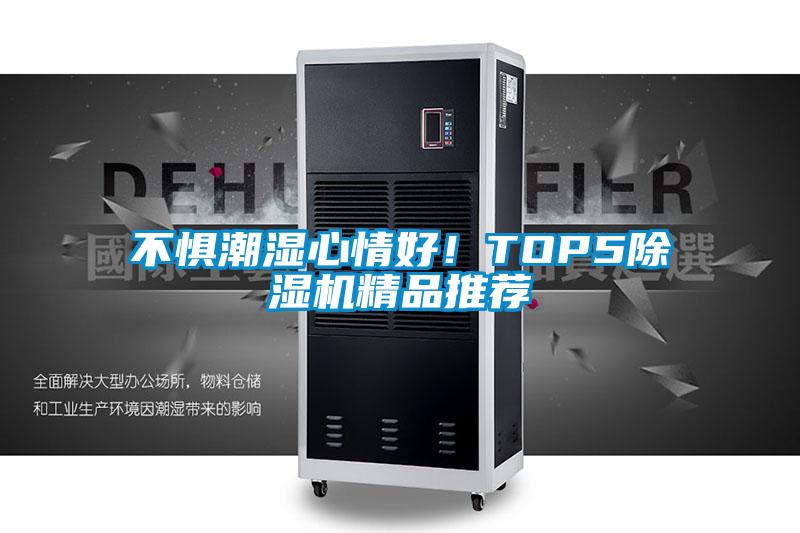 不懼潮濕心情好！TOP5除濕機精品推薦