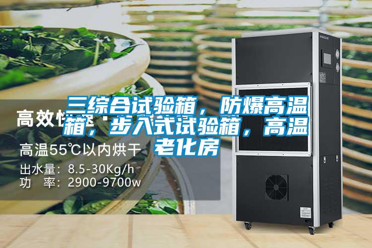 三綜合試驗箱，防爆高溫箱，步入式試驗箱，高溫老化房